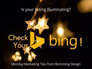 Read more about the article Is Your Bing Listing Correct?