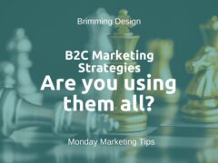 B2C Marketing Strategies: Are you using them all?