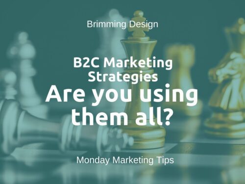 Read more about the article B2C Marketing Strategies: Are you using them all?