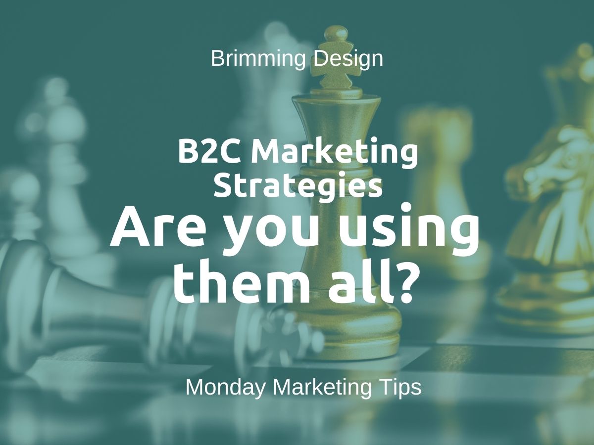 You are currently viewing B2C Marketing Strategies: Are you using them all?