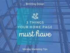 3 Things Your Home Page MUST Have