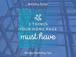 Read more about the article 3 Things Your Home Page MUST Have