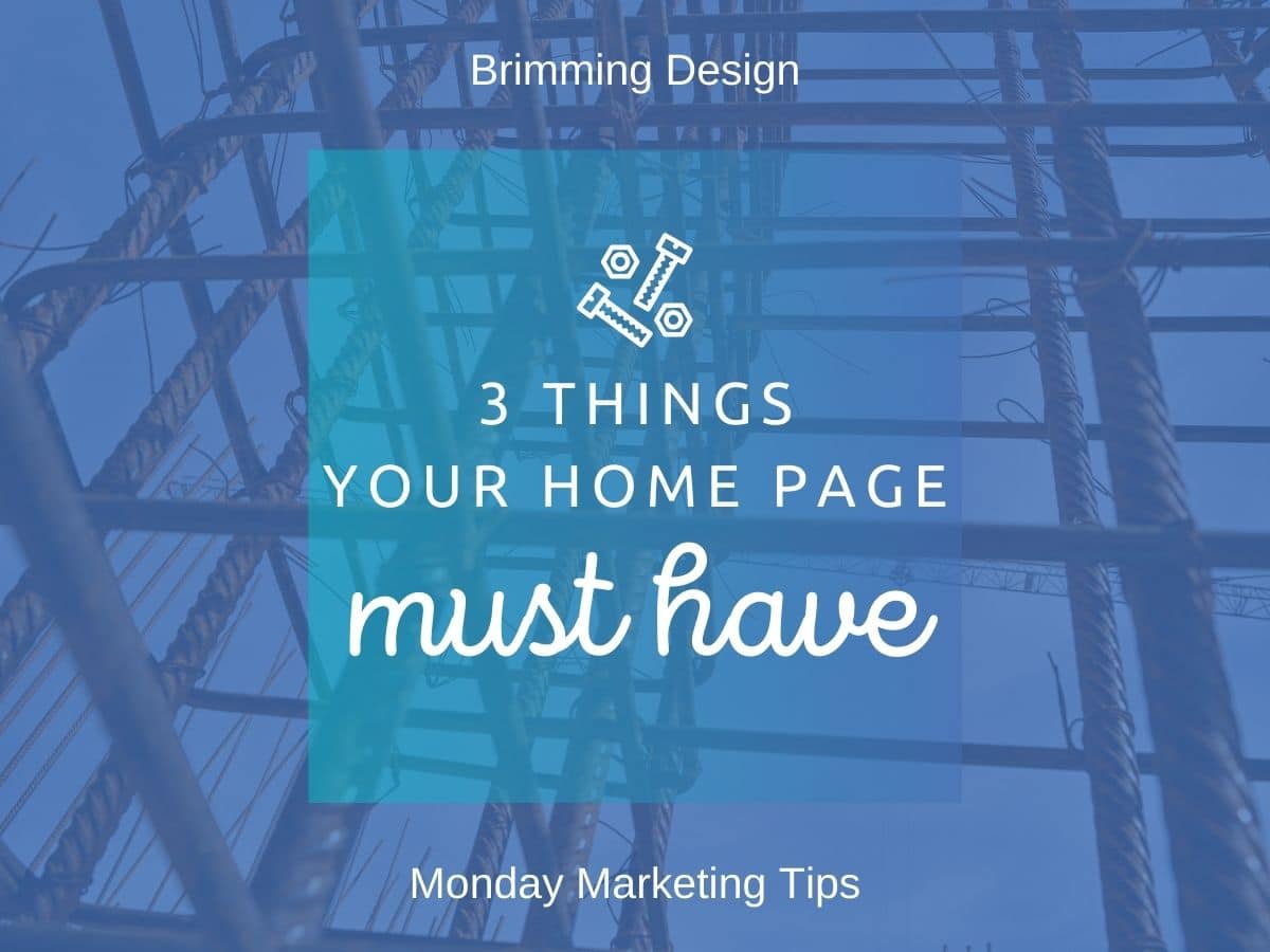 You are currently viewing 3 Things Your Home Page MUST Have