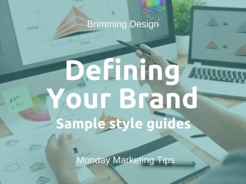 Read more about the article Defining Your Brand – Sample Style Guides
