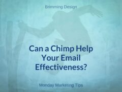 Can a Chimp Help Your Email Effectiveness?
