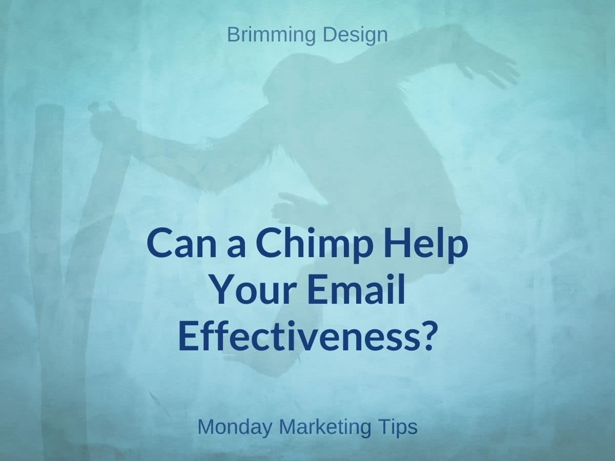 You are currently viewing Can a Chimp Help Your Email Effectiveness?