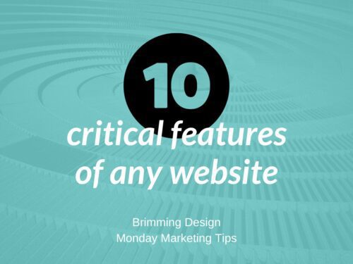 Read more about the article 10 Critical Features of Any Website