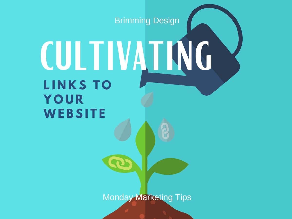 You are currently viewing Link Building Results Worth the Effort