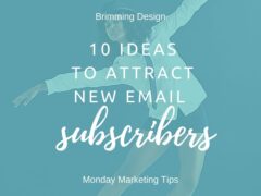 10 Ideas to Attract New Email Subscribers