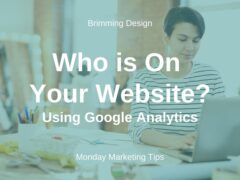 Google Analytics-Who is on Your Website?