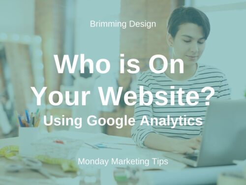Read more about the article Google Analytics-Who is on Your Website?