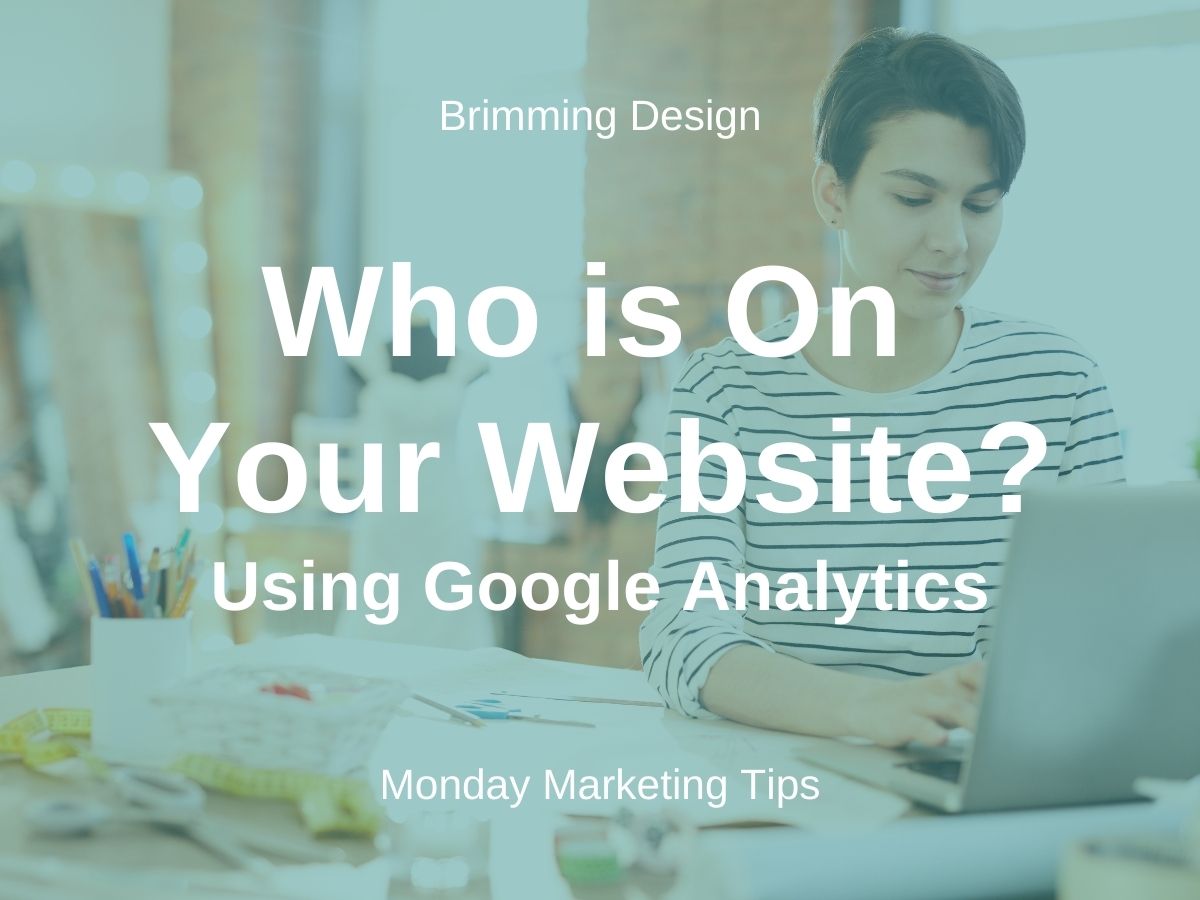 You are currently viewing Google Analytics-Who is on Your Website?