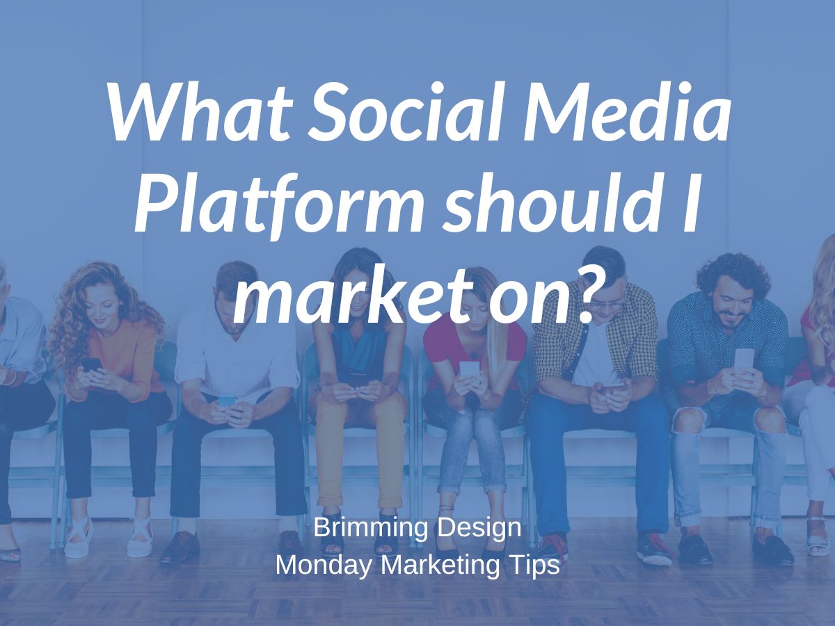 You are currently viewing What social media platform should I market on?